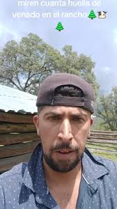 🌲🌲🌲👌 #rancho #durango #sierra