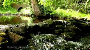 Relaxation 8 Hours Nature Sounds Ambient Birdsong Relaxing Sound Of Water Meditation Youtube