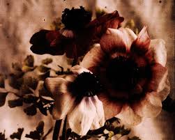 Even though we believe the images we have uploaded to the commons on flickr are in the public domain and thus not subject to copyright restrictions, these photos may be subject to other third party rights, such as rights of privacy and rights of publicity. Rights Statement Link Rot In Flickr Commons By Douglas Mccarthy Open Glam Medium