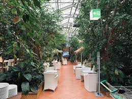 Gartenerde angebote in wiesbaden ᐅ mit kaufda aktuelle gartenerde angebote ✅ und den günstigsten preis in prospekten von händlern in wiesbaden finden. Sonntagsbrunch Zum Abgewohnen Bambusgarten Hamburg Reisebewertungen Tripadvisor