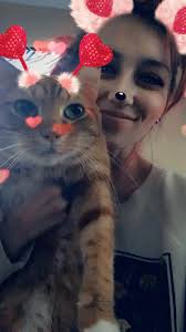 Lost Dog in Okaloosa and Walton County Florida