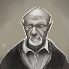 Heisenberg Chronicles