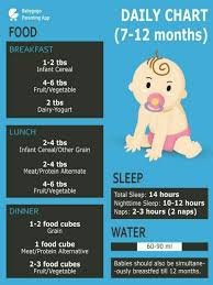 diet chart for 10 months old baby