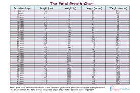 You've got a heavyweight in your belly at 20 weeks pregnant (well, in baby terms, anyway). Fetal Growth Chart The Children S Happiness Guide