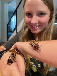 These photos were in a case donated to the village museum. They are  believed to be of the Roach family. If you are related please pm me.