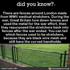 20 Did You Know Facts That You Should Know Chaostrophic Wwii Wtf Fun Facts Did You Know Facts