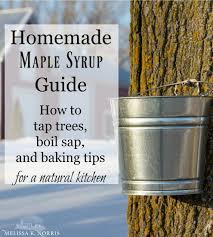 homemade maple syrup guide how to tap make syrup baking