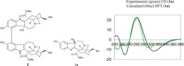 Image result for Tabernaemontana penduliflora