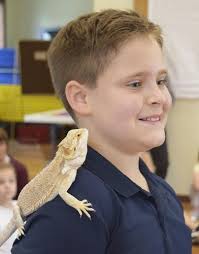 Snakes, lizards and toads — oh, my!