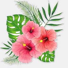 Tropical Hibiscus Arrangement Sticker Zazzle Com In 2020 Hibiscus Flower Drawing Flower Art Hawaiian Flower Drawing