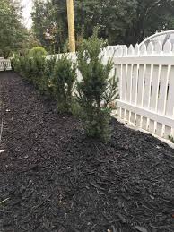 Mulches define a garden's character. Mulch The Basics Of Garden Mulch How Best To Use It To Create A Thriving Beautiful Natural Space Home For The Harvest