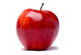 Image result for apple photo