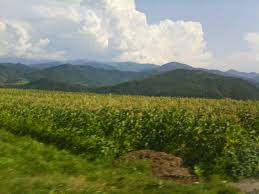 How Do You Manage Parintele Arsenie Boca Manastirea Prislop Natural Landmarks Landmarks Nature