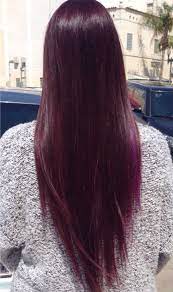 Dark Violet Hair Using Only Joico S 4fv Wild Orchid This Is My Exact Hair Color Ty Loves It Violet Hair White Hair Solution Sleek Short Hair