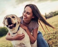 person playing with a dogの画像