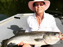 Guidelines For Eating Fish From Georgia Waters 2023