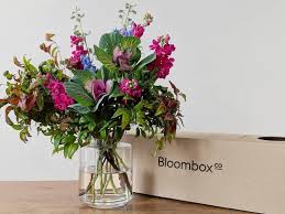 Check spelling or type a new query. U3nqc31lfled1m