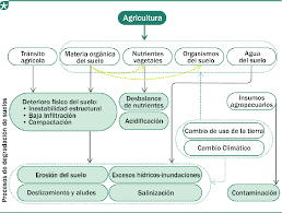 Al proporcionarte una vista general de las tareas programadas, todas las partes implicadas sabrán qué tareas empresas de construcción. Diagrama Que Muestra Los Impactos De La Agricultura Sobre Los Suelos Download Scientific Diagram