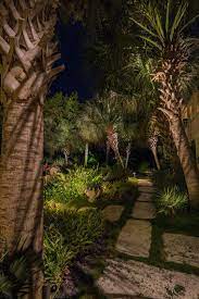 Craig Reynolds Landscape Architecture Tropical Landscape Lighting Tropical Landscaping Landscape Design