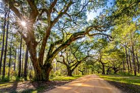 It lies about 5.3 miles southea. Louisiana Mountains