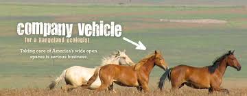 The rangeland team represents more than 200 years of combined midstream experience. Rangeland