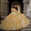 Belle Wedding Dress Cartoon