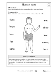 Printable science worksheets for teachers. Worksheets Word Lists And Activities Greatschools Human Body Worksheets Kindergarten Science Science Worksheets