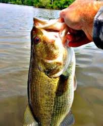 37 Best Favorite Fishing Holes Images Fishing Places