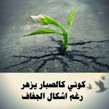 شرف المقاومه افضل من عار الاستسلام كلمات ليست كالكلمات