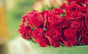 Download Wallpapers Red Roses Buds Of Roses Big Red Beautiful Bouquet Roses Besthqwallpapers Com Red Rose Bouquet Flowers Flowers Bouquet