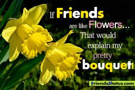 Flowers always make people better, happier, and more helpful; Quotes About Flower 556 Quotes