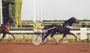 12 mars 1985 né à : Hippodrome De La Cote D Azur Les Courses N Ont Pas Fini De Vous Faire Rever