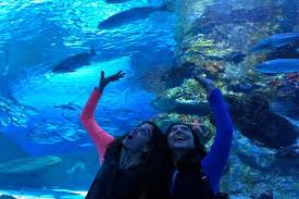 Antalya Aquarium Including Hotel Pickup 2021