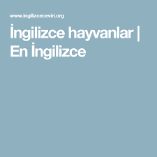 Ingilizce Hayvanlar En Ingilizce Ingilizce Hayvanlar Ense