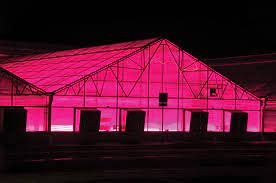 We did not find results for: Gro Lux Sylvania Lighting