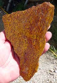 Zsold Coquina Jasper Slab Cobra Jasper Script Stone 155
