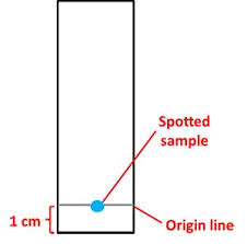 candy chromatography what makes those colors science project