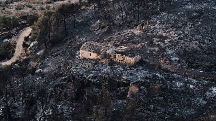 Hundreds of firefighters battle wildfire in southern Spain that killed at  least 12 – WAVY.com