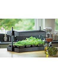 Indoor Herb Garden Kit My Greens Light Garden Indoor Vegetable Gardening Indoor Herb Garden Backyard Aquaponics