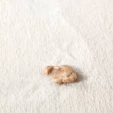 If you vacuum and notice you can get more wax up, do so then vacuum again. How To Remove Gum And Wax From Your Carpets Precision Carpet Precision Carpet Upholstery Care