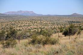 The namibian savanna woodlands, also known as the namib escarpment woodlands, are deserts and xeric shrublands ecoregion of namibia and angola. That Savannas With Their Park Like Tree Landscapes Are A Natural Enigma Namibia Eco Tours