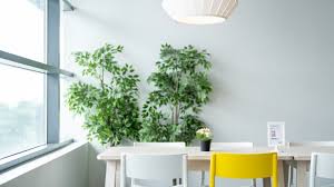 With the rise of video conference calls, remote work, and social distancing, we all need more free virtual backgrounds for zoom in our lives. Copy Of Dinner Living Room Zoom Background Templates Postermywall