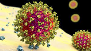 As of wednesday, provincial health authorities said the lambda variant accounts for 5.7 per cent of all cases detected within the last week in canada, with a majority of them found in quebec. Coronavirus Variants Here S How The Sars Cov 2 Mutants Stack Up Live Science
