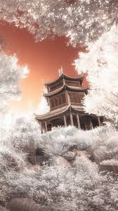 Give your home a bold look this year! 23 Japanese Iphone Hd Wallpapers Wallpaperboat