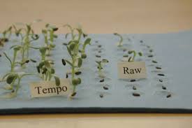 Adapted with permission from halmer p. What Is Seed Priming Germains Seed Technology