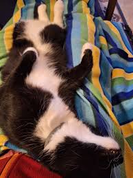 Image result for site:byggahus.se färgglad