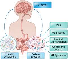 Handprints of different colors and text world autism awareness d. Autism Spectrum Disorder As A Brain Gut Microbiome Axis Disorder Springerlink