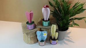 Hay otras, en cambio, que procuran que la tierra permanezca húmeda siempre. Cactus Manualidades Para Regalar Manualidades