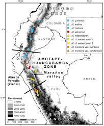 Web's largest … lyman, eric j., war of the map: Fig Map Of Northern Peru And Ecuador Showing The Location Of The Download Scientific Diagram