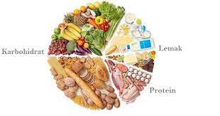 Berikut 15 makanan tinggi protein dan rendah karbohidrat. Dunia Biologi Karbohidrat Protein Lemak Dan Air Makanan Yang Diperlukan Tubuh